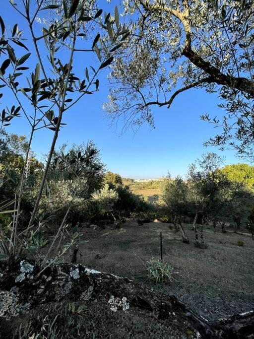 Villa Maria, Casa Rural En Cazalla De La Sierra. 外观 照片